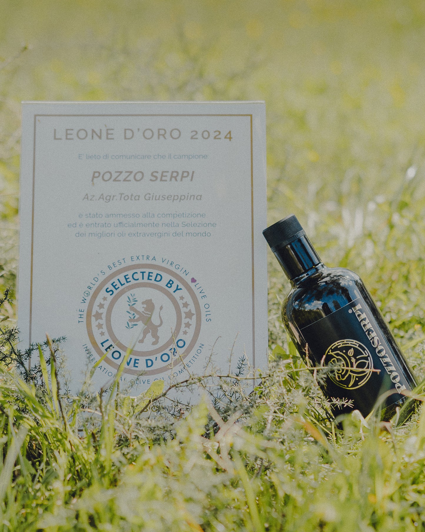 Olio Extra Vergine D'Oliva Monocultivar "La Coratina" - Filtrato - Linea Lux 5 Litri